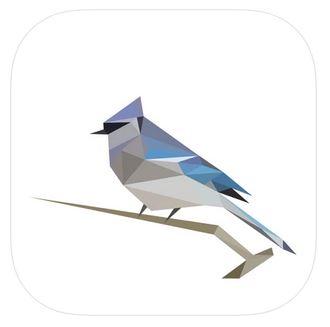 Logo der BirdNet-App