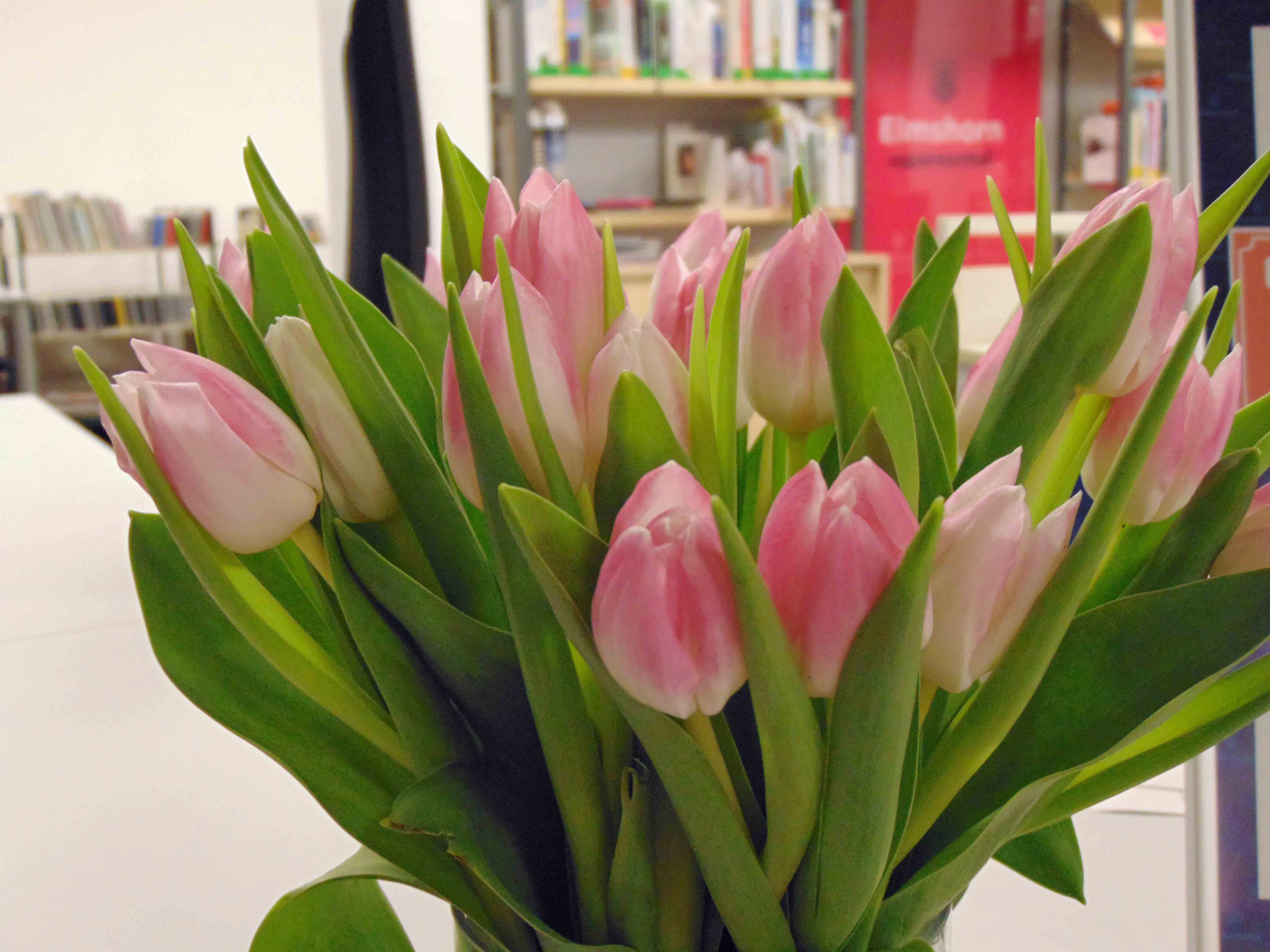 Foto ein Strauß Tulpen am Verbuchungstresen